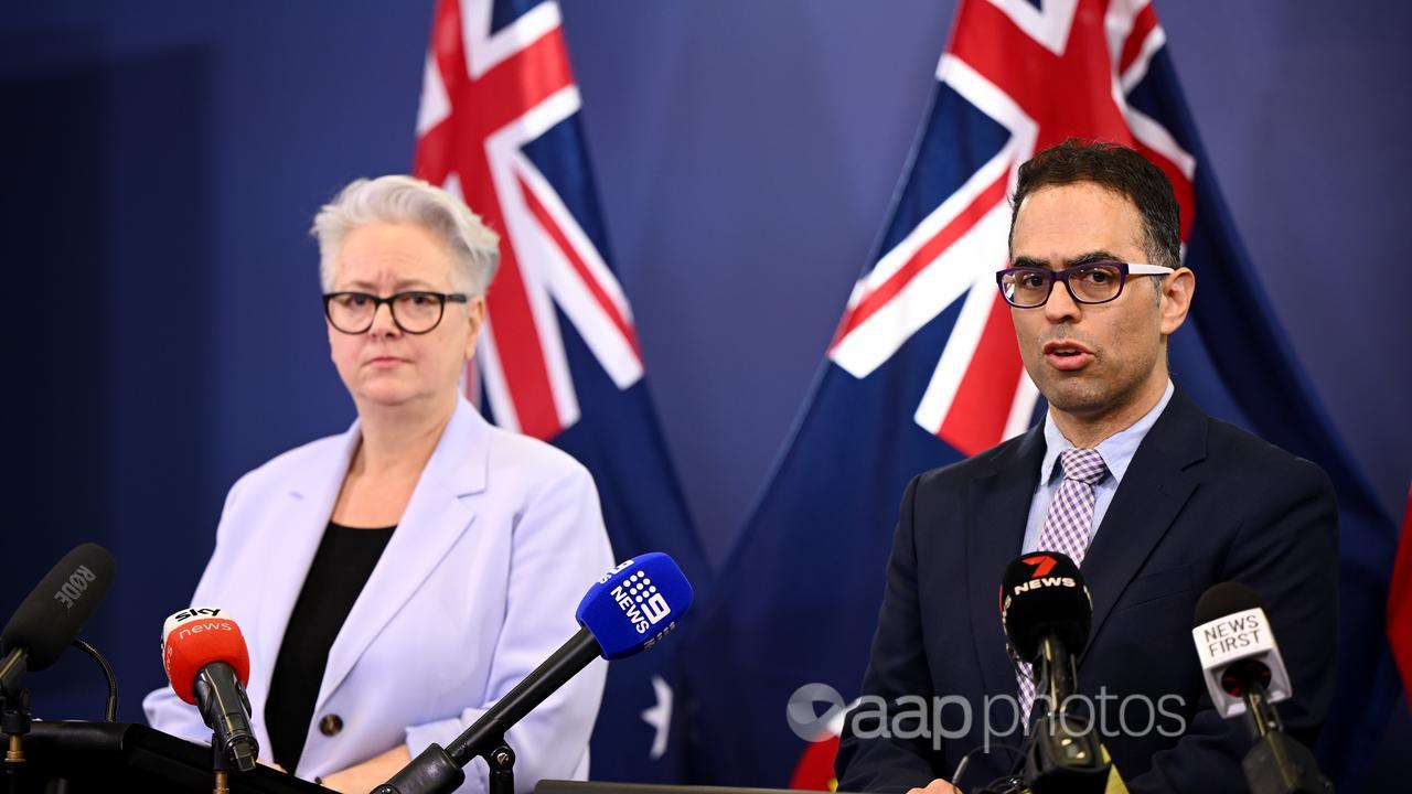 NSW Energy Minister Penny Sharpe and Treasurer Daniel Mookhey