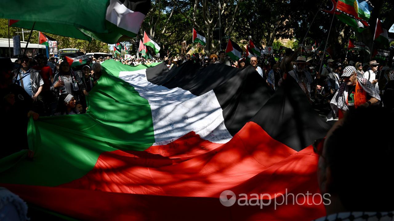 Protestors hold a Palestinian flag