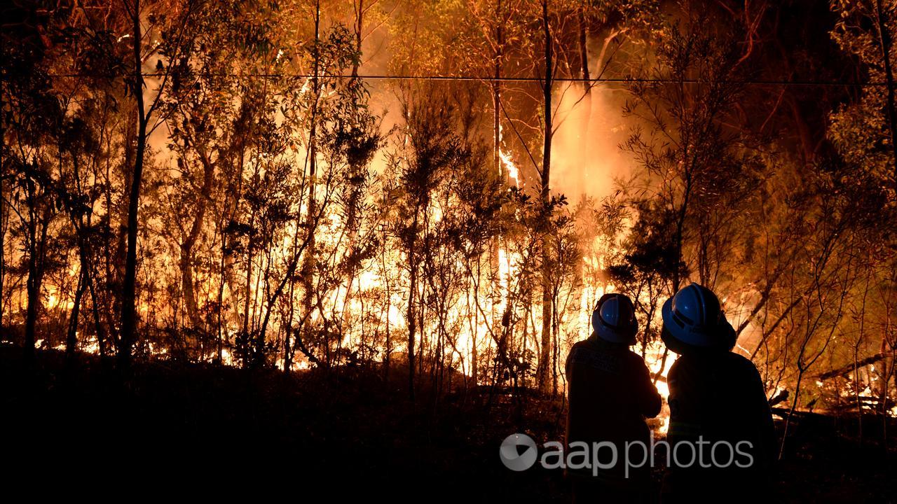 Bushfire in NSW Blue Mountains
